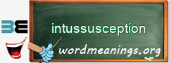 WordMeaning blackboard for intussusception